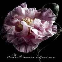 Oriental Contemplation - Japanese Zen Shakuhachi