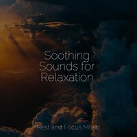 Life of a Buddhist - Massagem Coleção de Músicas & Yoga & Study Music