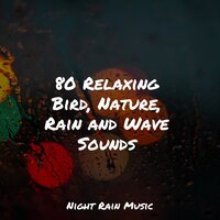 Soothing Small Ocean Waves - Sampling XL & Rain Sounds & Nature Sounds & Relaxing Mindfulness Meditation Relaxation Maestro