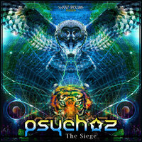 Spiral Galaxy - Psychoz