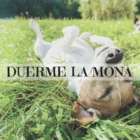 Entre Almohadas - Duerme Mona
