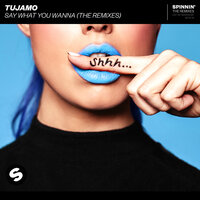 Say What You Wanna - Tujamo