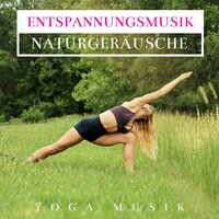 Universelle Harmonie - Entspannungsmusik Klavier Akademie & Meditationsmusik Knstler