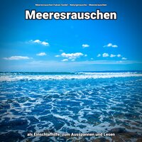 Meeresrauschen zum Lernen - Meeresrauschen Fabian Seidel & Naturgeräusche & Meeresrauschen