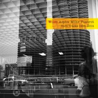 I Shall Be Released (with Fleet Foxes) - Wilco & Fleet Foxes