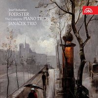 Piano Trio No.1 in F minor, Op. 8: III. Adagio molto - Josef Bohuslav Foerster & Janáček Trio