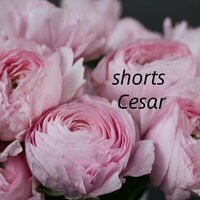 skirt - CESAR