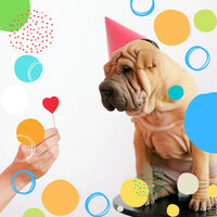 Relaxing Music for Separation from Dogs - Doggy Music Radio