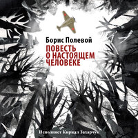 Повесть о настоящем человеке. Глава 4. Часть 8 - Кирилл Захарчук