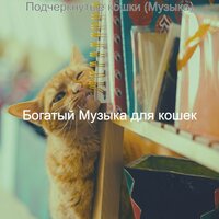 Созерцая (Котята) - Богатый Музыка для кошек
