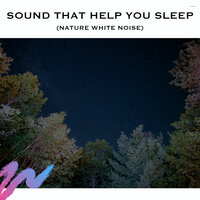Forest Rain Sounds (Loopable) - Relaxing Radiance & Sounds of Thunderstorms & Rain & Sleep Sounds Ambient Noises