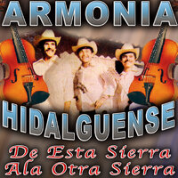 Contestacion A Me Chiveo - Trio Armonia Huasteca