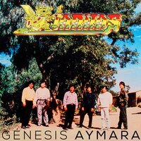 Por Mi Mala Suerte - Los Kjarkas