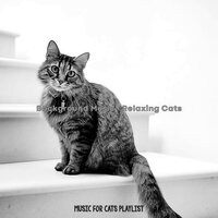 Dream Like (Music) - Music for Cats Playlist
