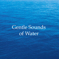 Training Discipline - Sleep Music Club, Serenity Music Collection & Serenity Music Collection & Sleep Music Club