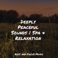 Mystic Keys - Spa Music Collective & Relaxed Minds & ZEN