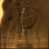 Incense Land of Punt - Senmuth