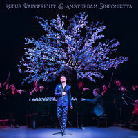 All I Want - Rufus Wainwright & Amsterdam Sinfonietta