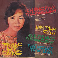 Không Phải Tại Chúng Mình - Trang Mỹ Dung & Giang Tử