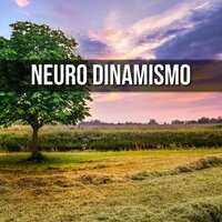 Pensamiento Vivo - Sanación Interior