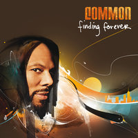 Misunderstood - Common