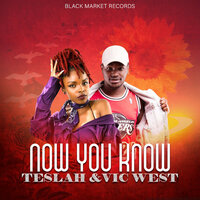 Now You Know - Teslah & Vic West & Teslah, Vic West