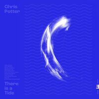 I Had a Dream - Chris Potter