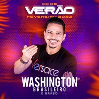 Volta pro Seu Vaqueiro - Washington Brasileiro