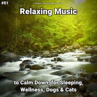 Relaxing Music Part 21 - Soft Music & Relaxing Spa Music & Yoga