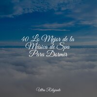 Canción De Gaviota - Sonido Del Bosque y Naturaleza & Sueños Triplete & Música a Relajarse