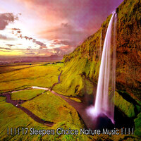 Дар природы мира - Sounds of Nature Noise