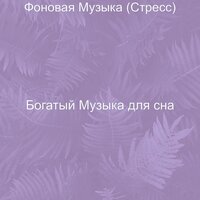 Мечты (Работа) - Богатый Музыка для сна