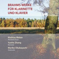 IV. Vivace - Mathias Weber & Yunhe Zhang & Иоганнес Брамс