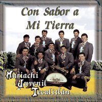 Que Bonito Amor - Mariachi Juvenil Tecalitlan