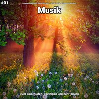 Entspannungsmusik zum Einschlafen - Entspannungsmusik Sebastian Noiro & Schlafmusik & Entspannungsmusik