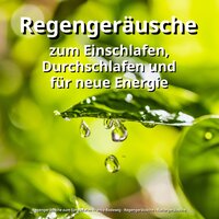 Meditation mit Liebe - Regengeräusche zum Einschlafen Franco Rodewig & Regengeräusche & Naturgeräusche