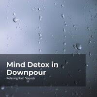 Calming Rainy Season - Relaxing Rain Sounds & Rain Drops for Sleep & Rain for Sleep
