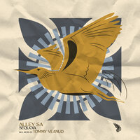 Tough Luck - Alley SA & Tommy Veanud