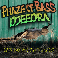 The Cat’s Passage - DJEEDRA & Phaze of Bass