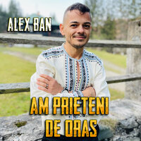 AZI SUNT PUS PE PETRECUT - Alex Ban