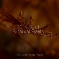 Instrumental Illuminations - Shakuhachi Sakano & Amazing Spa Music & Music For Absolute Sleep