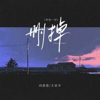 删掉（你的一切） - 向思思 & 王宗介