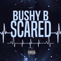 Scared (Sped Up) - Bushy B