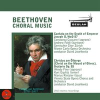 Christus am Ölberge, Op. 85: 14. In meinen Adern wühlen gerechter Zorn und Wut - David Josefowitz & Marius Rintzier & Wendy Fine & Kurt Equlitz & Ludwig van Beethoven
