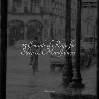 In the Forest - Calming Sounds & Ambient Rain & Meditacao Clube