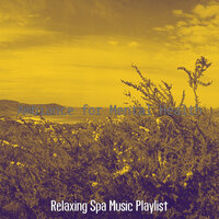 Modern Ambiance for Wellness Treatments - Relaxing Spa Music Playlist