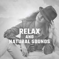 Nature Sounds - The Calming Sounds of Nature