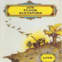 Levitation - Original - The 13th Floor Elevators