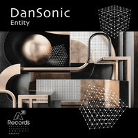 Entity - Dan Sonic