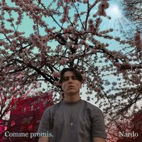 Comment Faire - Nardo